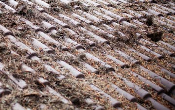 Swillington Common roof cleaning companies